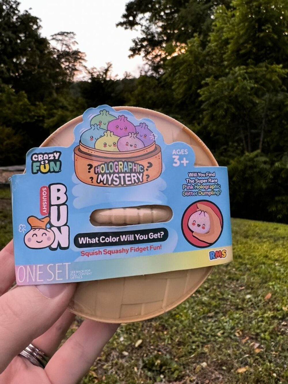 RMS Mystery Dumpling Holographic Edition Squishy NEW Sealed